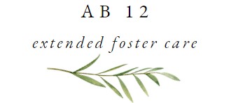 AB 12